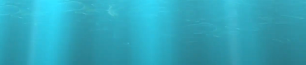 Die kleine Meerjungfrau von Trisha Radda + Video